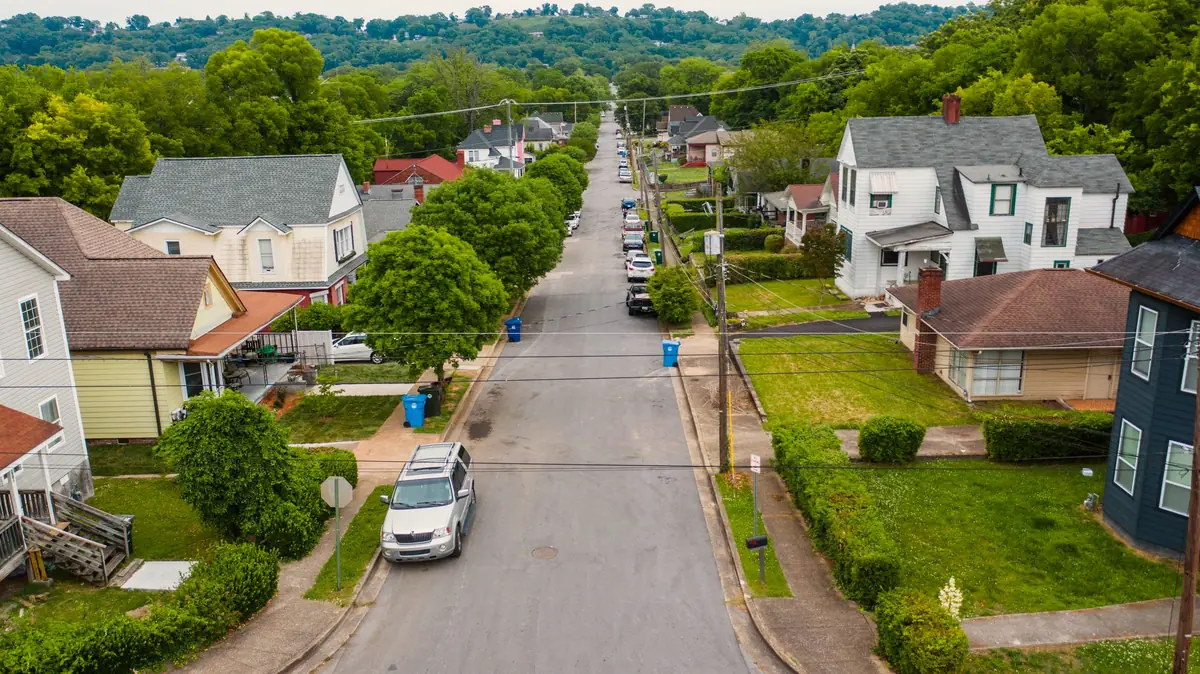 Quiet residential street lined with mature trees