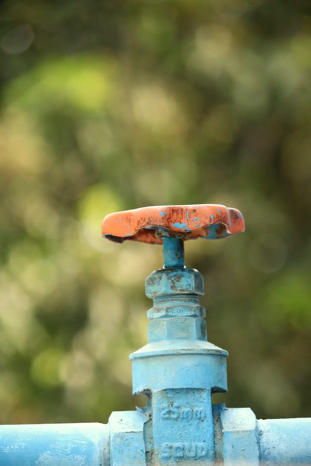 Water shutoff valve
